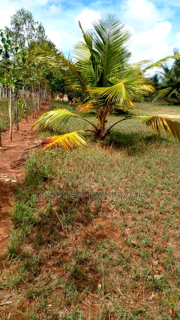 1/2 Acre Treasure Plot on Sale Opposite Marianist College.
