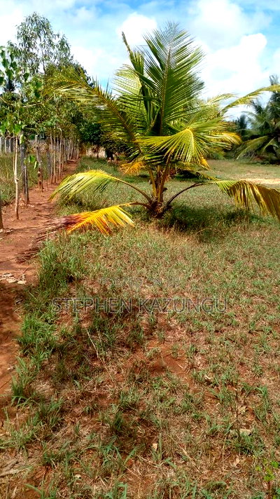 1/2 Acre Treasure Plot on Sale Opposite Marianist College. - Image 5