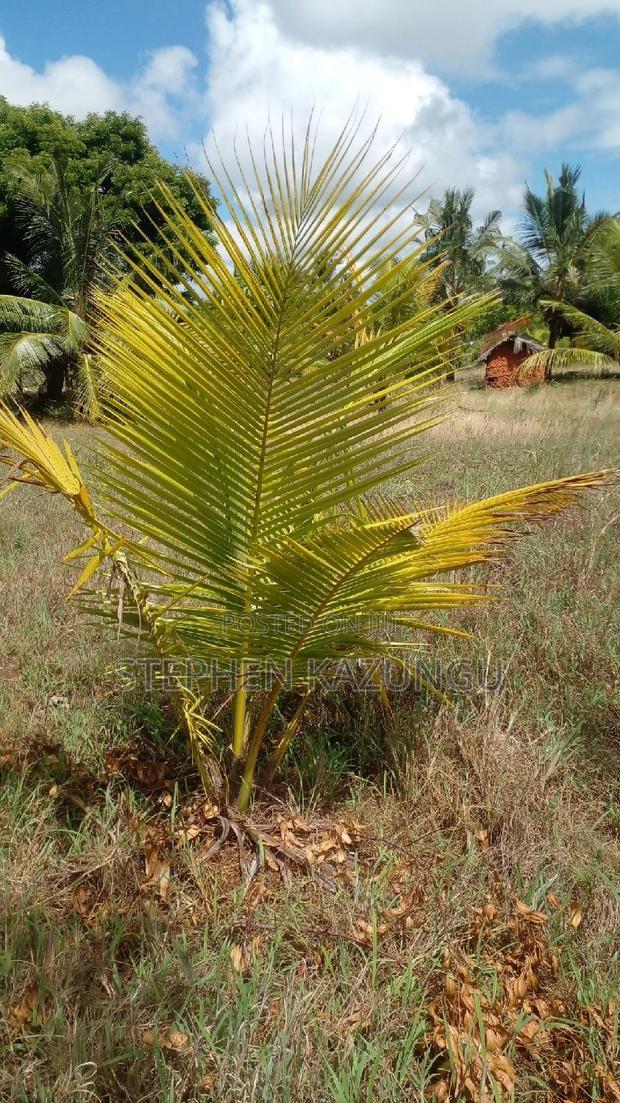 1/2 Acre Treasure Plot on Sale Opposite Marianist College.