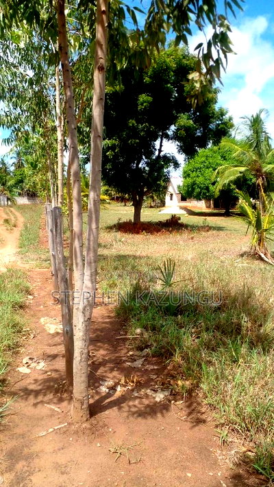 1/2 Acre Treasure Plot on Sale Opposite Marianist College. - Image 6