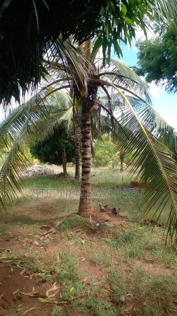 1/2 Acre Treasure Plot on Sale Opposite Marianist College.