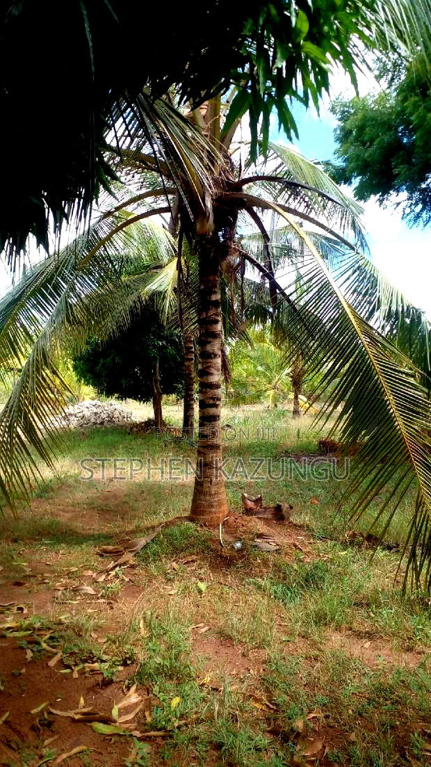 1/2 Acre Treasure Plot on Sale Opposite Marianist College.