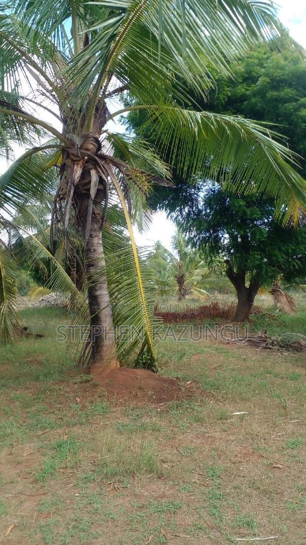 1/2 Acre Treasure Plot on Sale Opposite Marianist College.