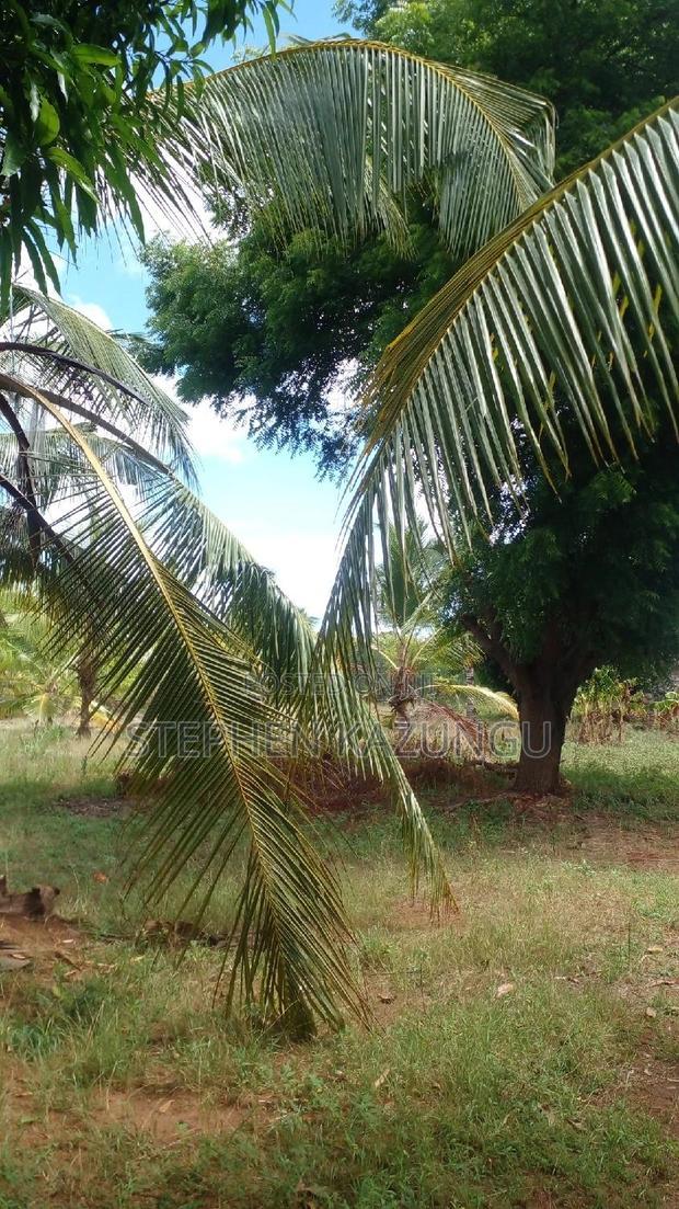 1/2 Acre Treasure Plot on Sale Opposite Marianist College.
