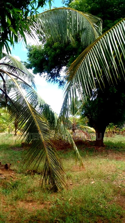 1/2 Acre Treasure Plot on Sale Opposite Marianist College. - Image 9