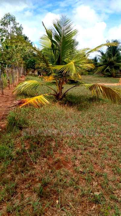 1/2 Acre Treasure Plot on Sale Opposite Marianist College. - Image 13