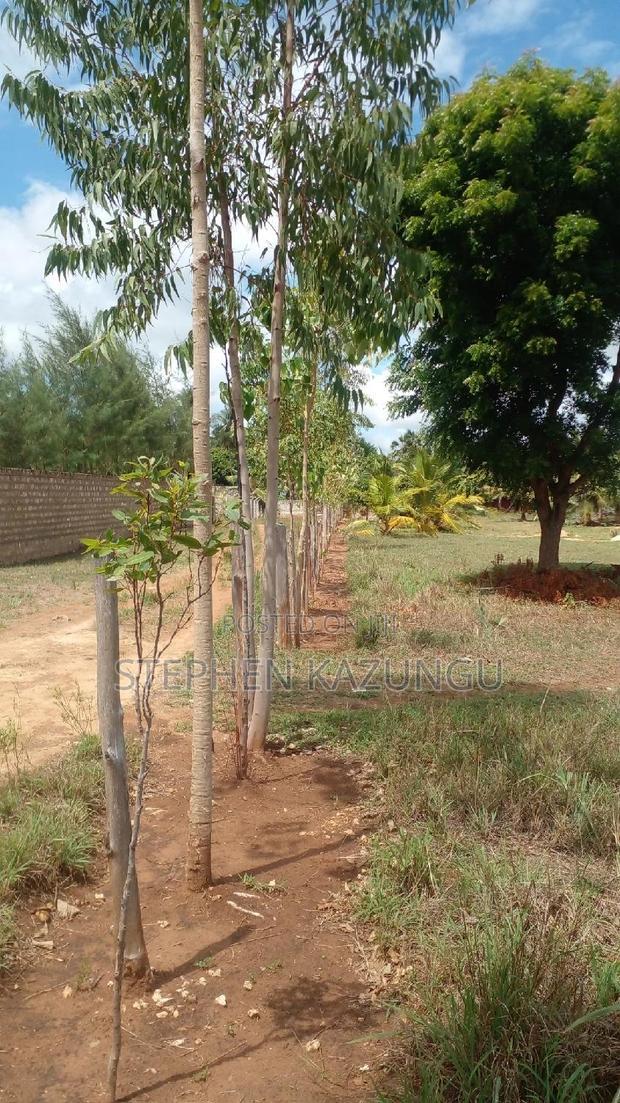 1/2 Acre Treasure Plot on Sale Opposite Marianist College.