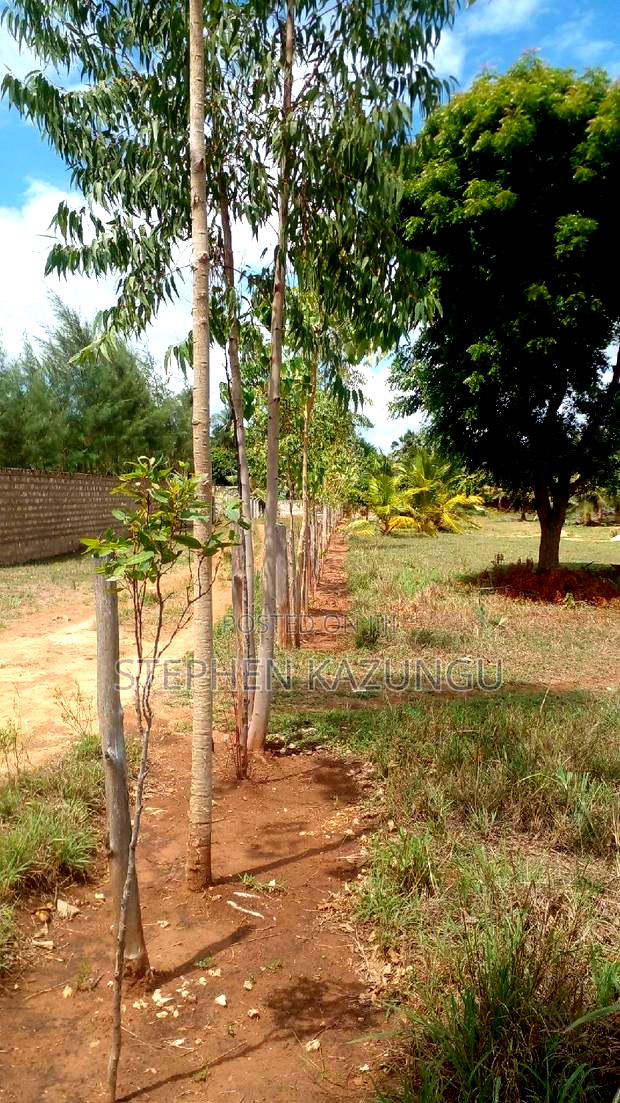 1/2 Acre Treasure Plot on Sale Opposite Marianist College.