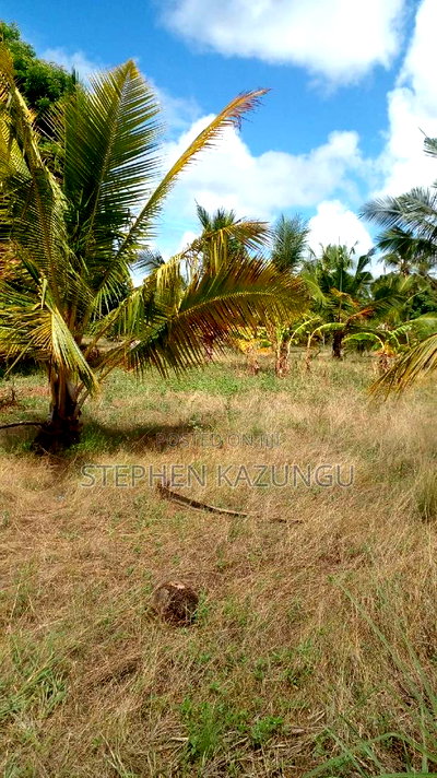 1/2 Acre Treasure Plot on Sale Opposite Marianist College. - Image 14