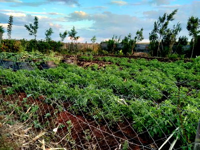 4bdrm Maisonette in Rangau, Ongata Rongai for sale - Image 5