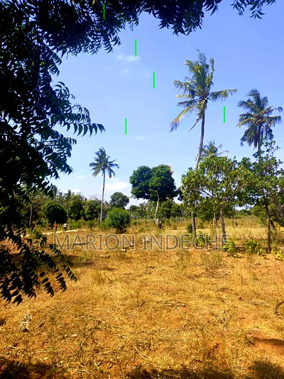Invest in These 50*100ft Prime Plots for Sale in Kilifi - Image 3