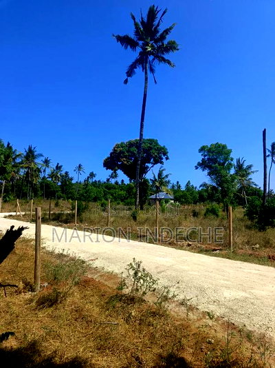 Invest in These 50*100ft Prime Plots for Sale in Kilifi - Image 2