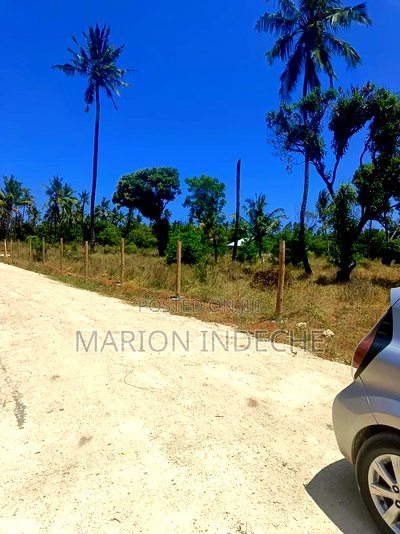 Invest in These 50*100ft Prime Plots for Sale in Kilifi - Image 5