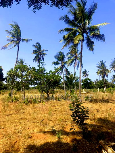 Invest in These 50*100ft Prime Plots for Sale in Kilifi - Image 4