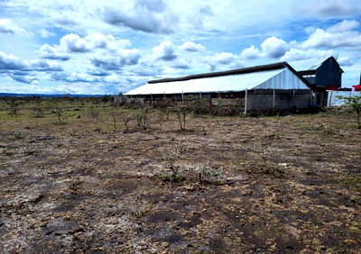 1/8 Acre Plot at KSh 1.6M