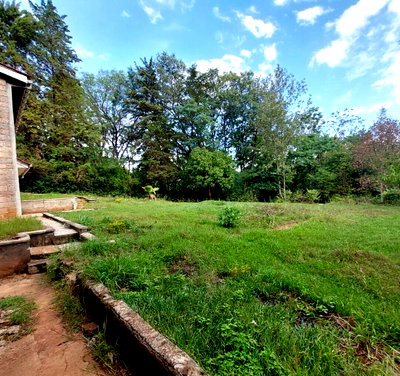 One-Acre Flat Plot with Mature Hedge Boundaries – Runda Grove