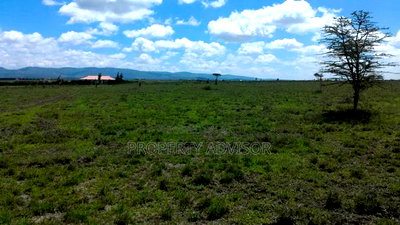 Utawala Zebra Plots for Sale - Image 1