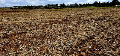 Commercia 1/4 Plot for Sale in Kimumu Marura in Eldoret - Image 10