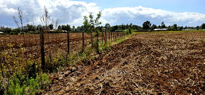 Commercia 1/4 Plot for Sale in Kimumu Marura in Eldoret - Image 3