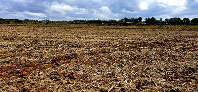 Commercia 1/4 Plot for Sale in Kimumu Marura in Eldoret - Image 11