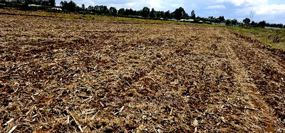 Commercia 1/4 Plot for Sale in Kimumu Marura in Eldoret - Image 9