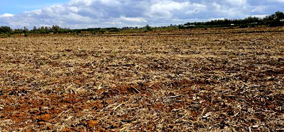 Commercia 1/4 Plot for Sale in Kimumu Marura in Eldoret - Image 5