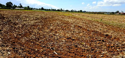 Commercia 1/4 Plot for Sale in Kimumu Marura in Eldoret - Image 4