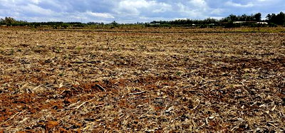 Commercia 1/4 Plot for Sale in Kimumu Marura in Eldoret - Image 7