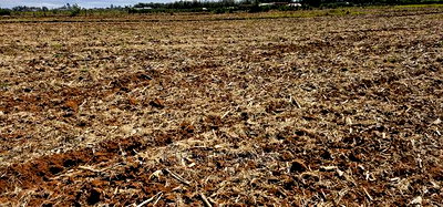 Commercia 1/4 Plot for Sale in Kimumu Marura in Eldoret - Image 12