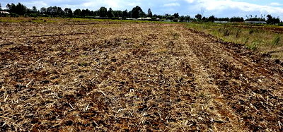 Commercia 1/4 Plot for Sale in Kimumu Marura in Eldoret - Image 6