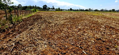 Commercia 1/4 Plot for Sale in Kimumu Marura in Eldoret - Image 2