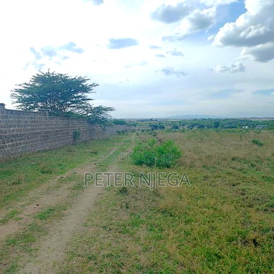 50x100 Plots in Kitengela Sukos - Image 5