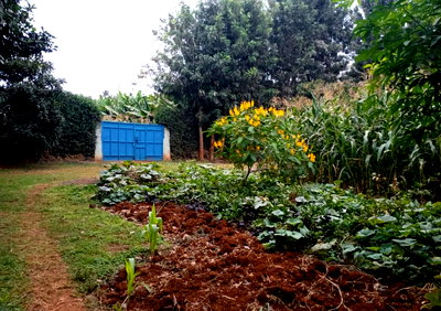 Half Acre Garden Plot with Parking - KSh 35M
