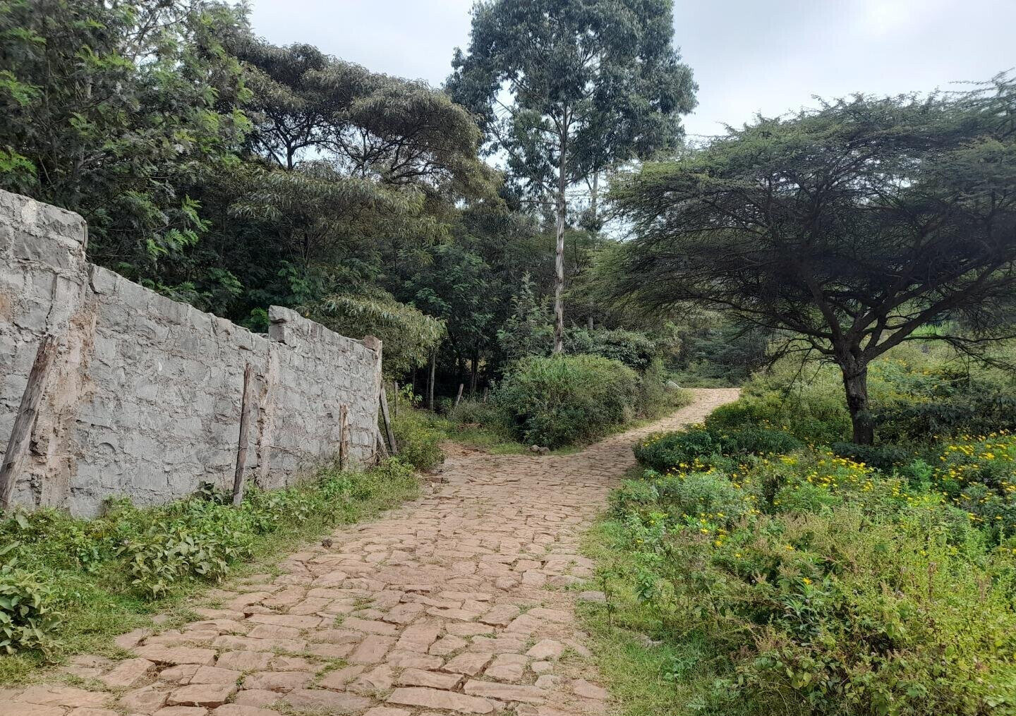 KSh 5.2M Plot with Parking in Kiserian