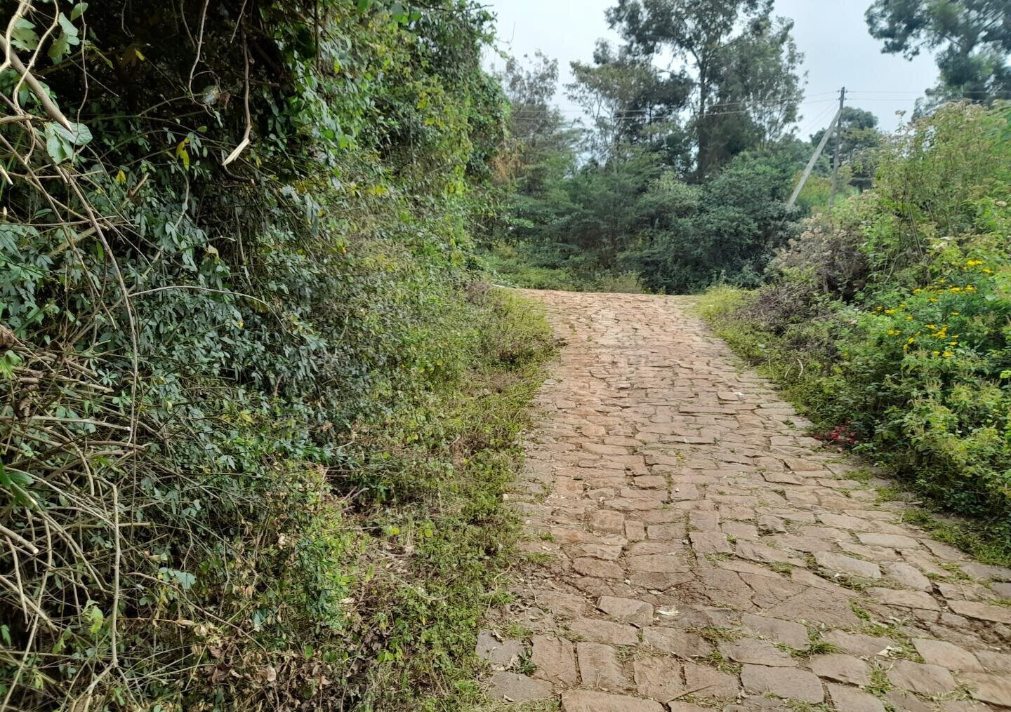 KSh 5.2M Plot with Parking in Kiserian