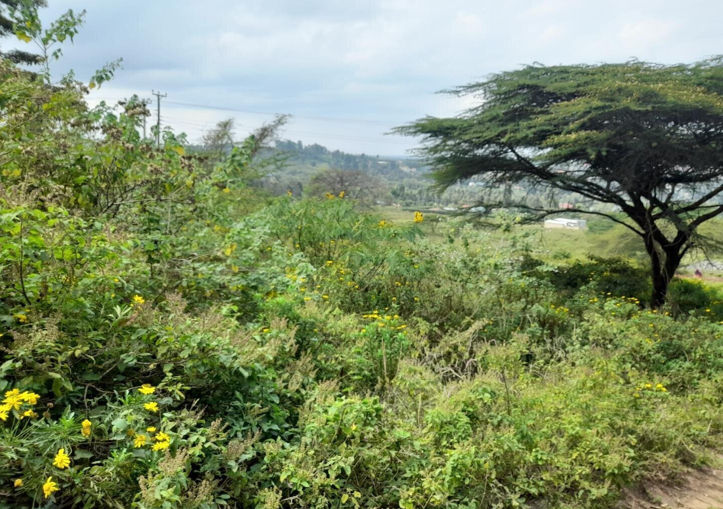KSh 5.2M Plot with Parking in Kiserian