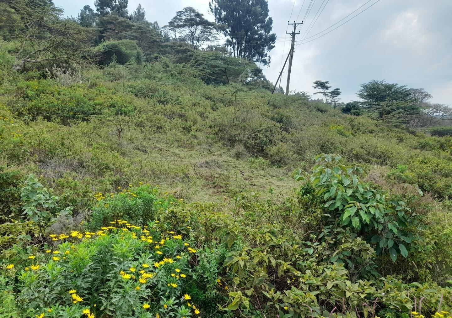KSh 5.2M Plot with Parking in Kiserian