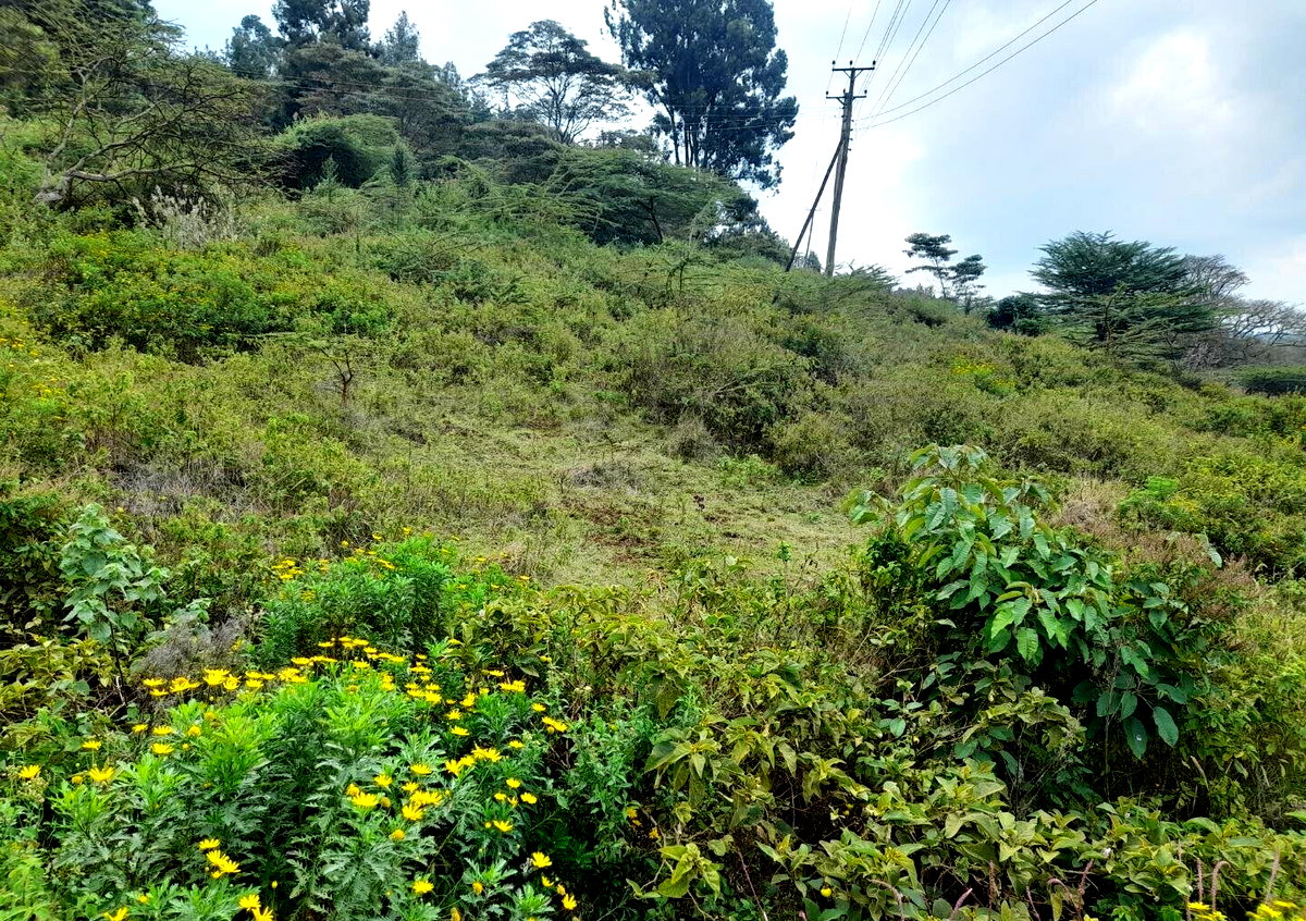 KSh 5.2M Plot with Parking in Kiserian