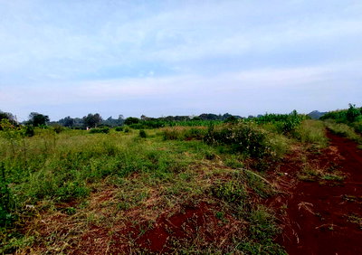 5-Acre Kitisuru Land with Garden and Parking
