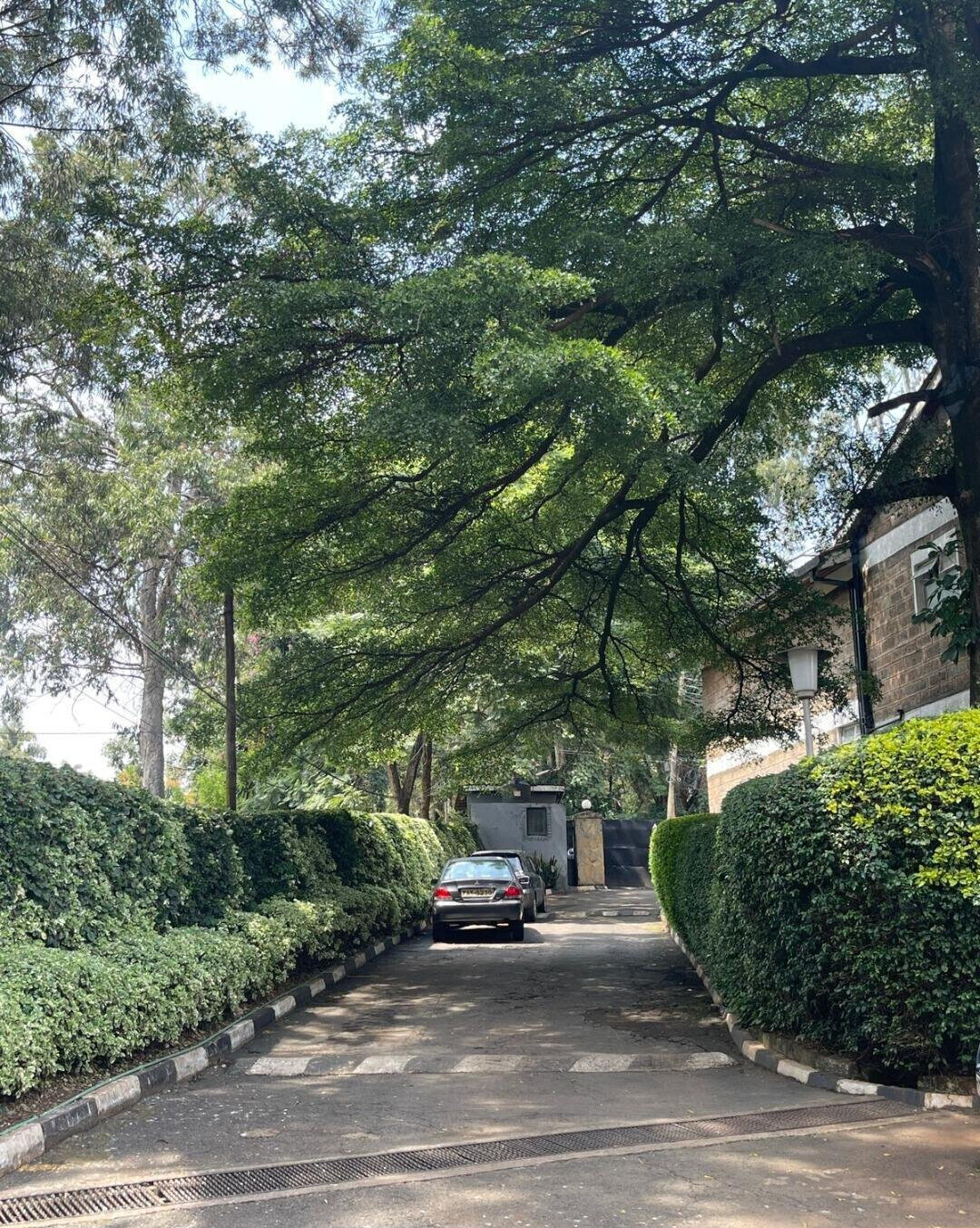 4BR Townhouse with DSQ & Two TV Rooms - Kilimani