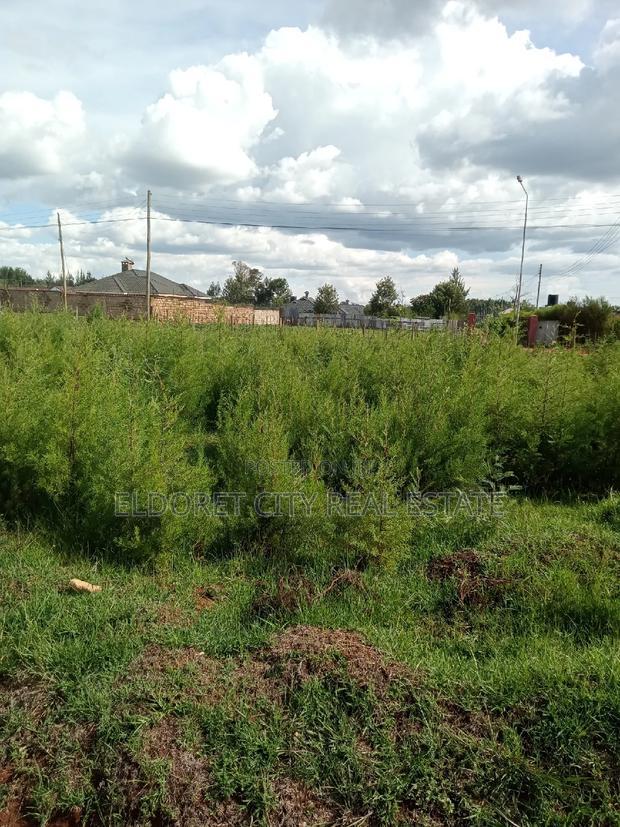 1/8 Plots Marriott With Title.