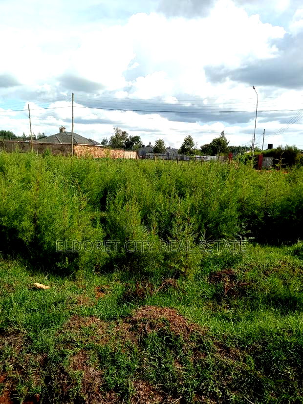 1/8 Plots Marriott With Title.