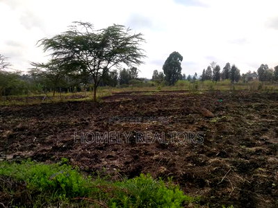 Half Acre Plot in Ngong Along Merisho Road, Near the Tarmac - Image 2