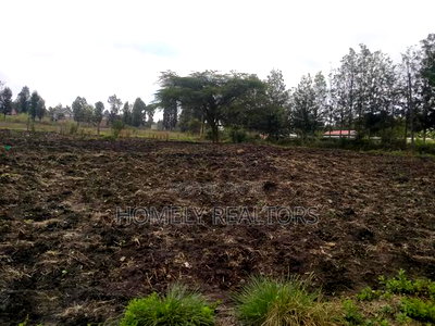 Half Acre Plot in Ngong Along Merisho Road, Near the Tarmac - Image 3