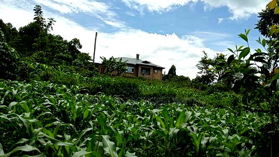 50*100 Plots for Sale at Handidi Kakamega - Image 4