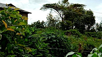 50*100 Plots for Sale at Handidi Kakamega - Image 2