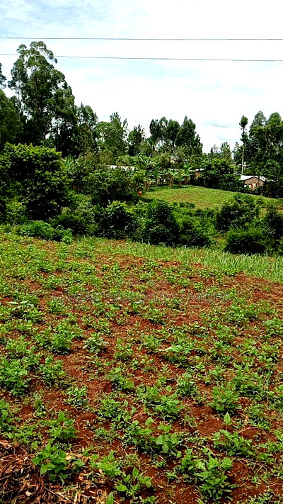 50*100 Plots for Sale at Handidi Kakamega - Image 5