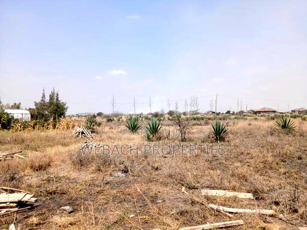1/2 Acre Plot for Sale Katani 1km From Bogonko Stage