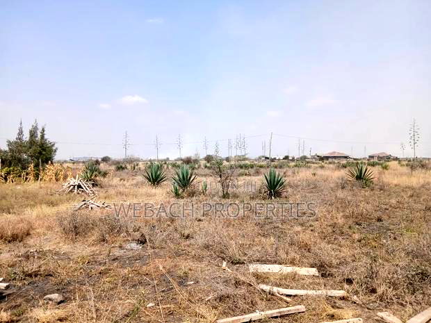 1/2 Acre Plot for Sale Katani 1km From Bogonko Stage
