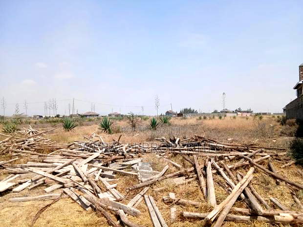 1/2 Acre Plot for Sale Katani 1km From Bogonko Stage